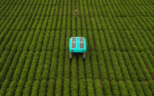 Ngỡ ngàng với khả năng của robot nông nghiệp do Google phát triển