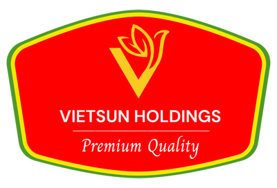 VietSun Holdings