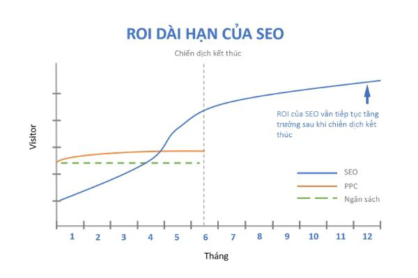 seo là làm gì