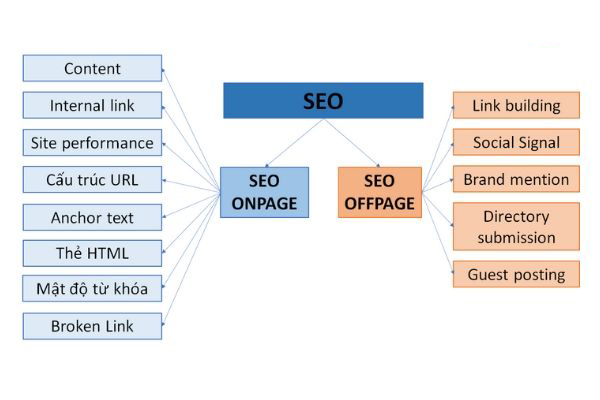 seo website là gì